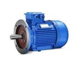 THREE-PHASE-INDUCTION-MOTOR-FLANG-TYPE1